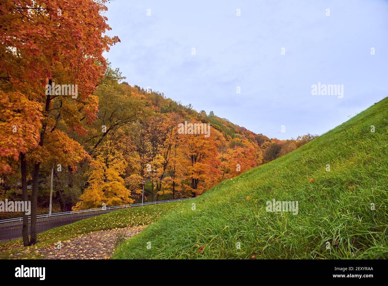 Parco autunnale a Vilnius, Lituania Foto Stock