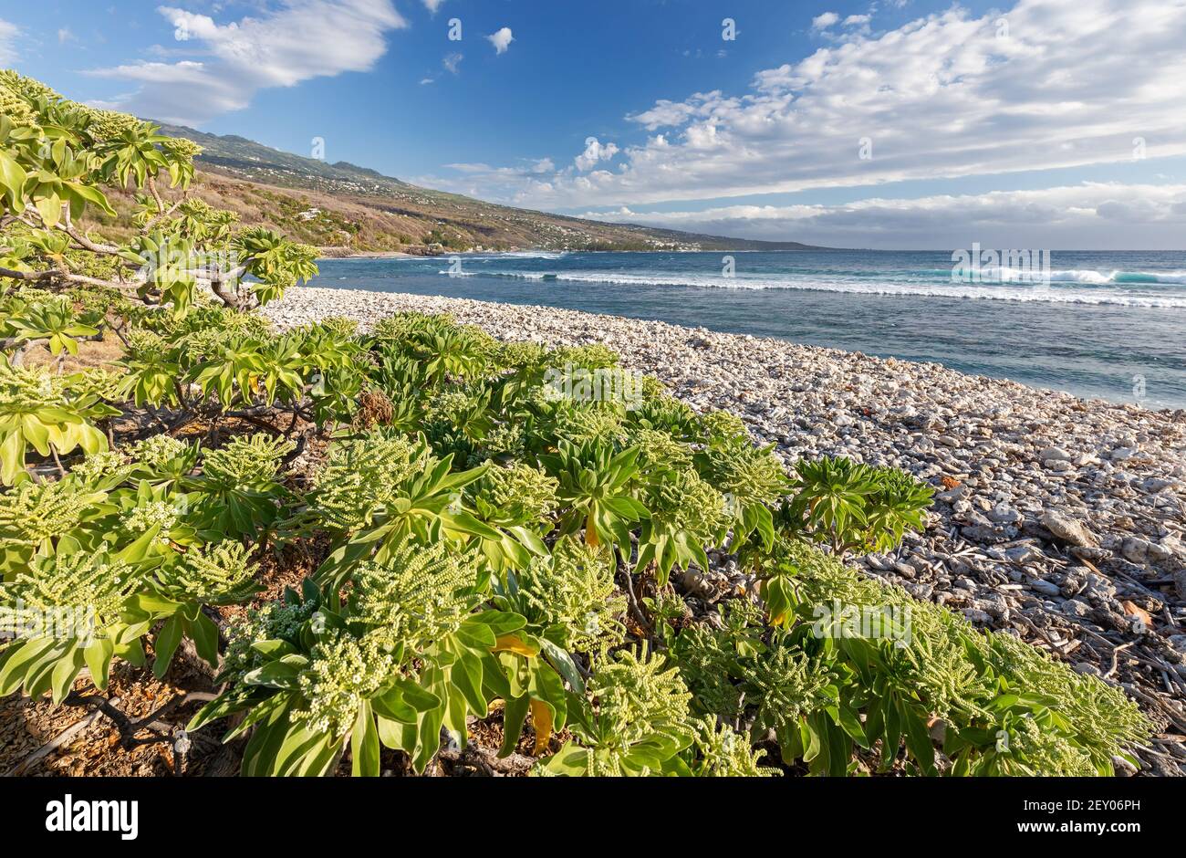 Linea costiera nei pressi di Saint-Leu (costa occidentale dell'isola la Reunion) Foto Stock