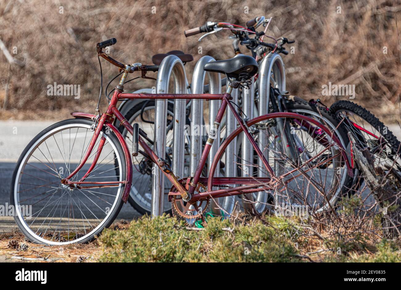 biciclette bloccate ad un portabiciclette a Montauk, NY Foto Stock