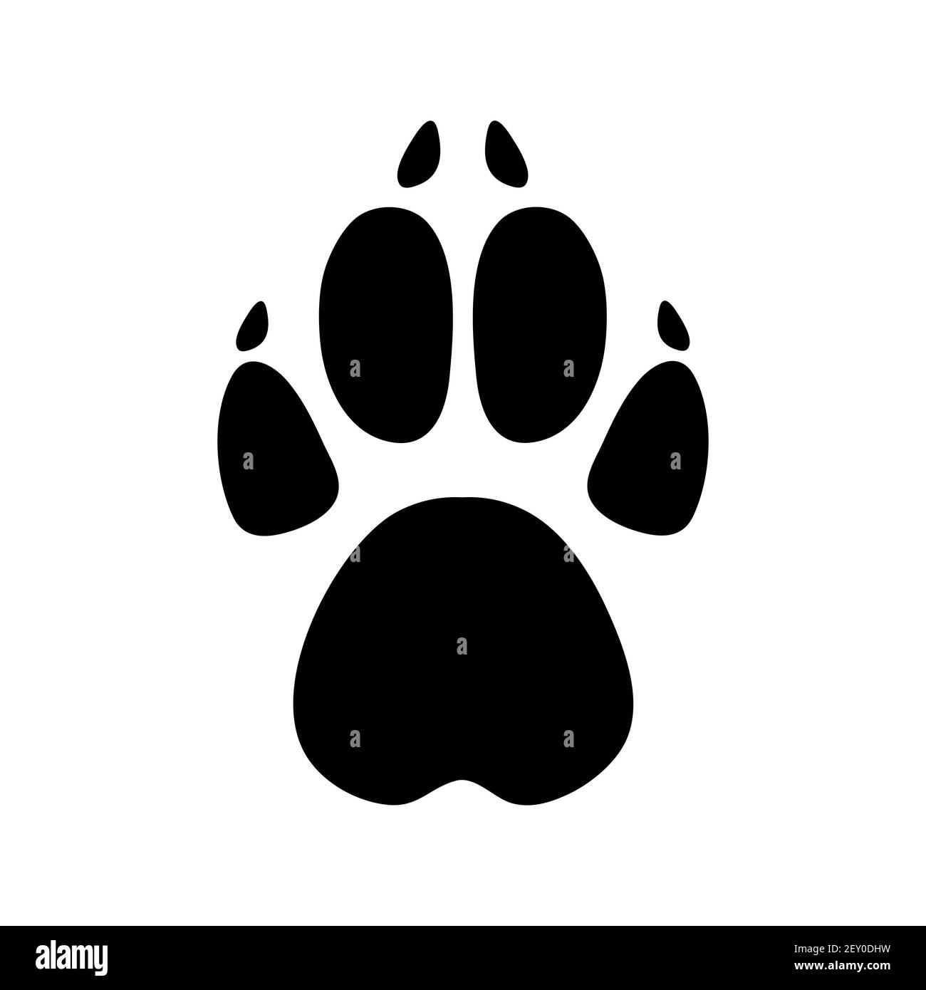 Illustrazione vettoriale delle impronte degli animali su sfondo bianco. Illustrazione Vettoriale