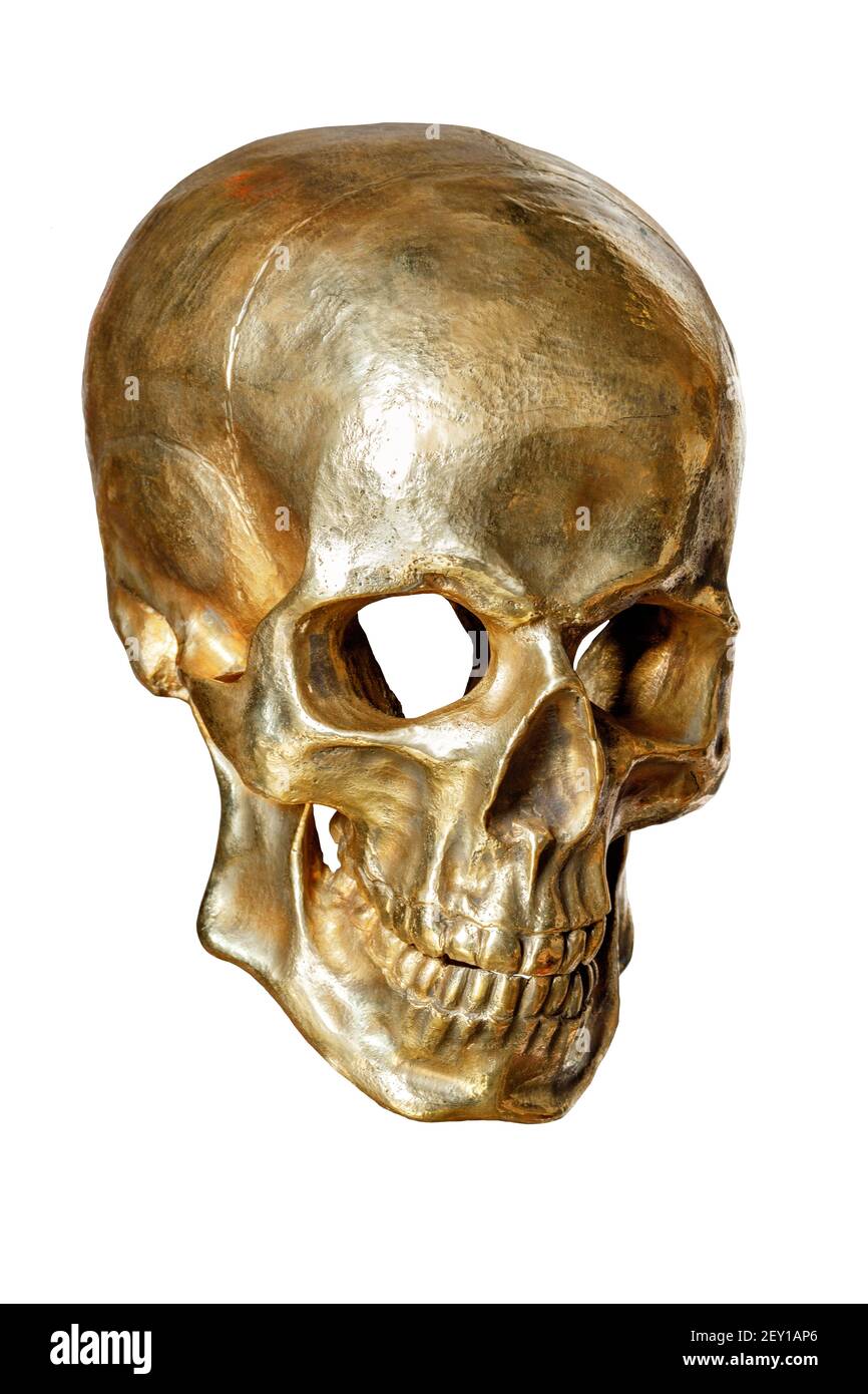 Lo scheletro di un cranio umano è dipinto in oro, isolato su uno sfondo bianco, primo piano. Foto Stock