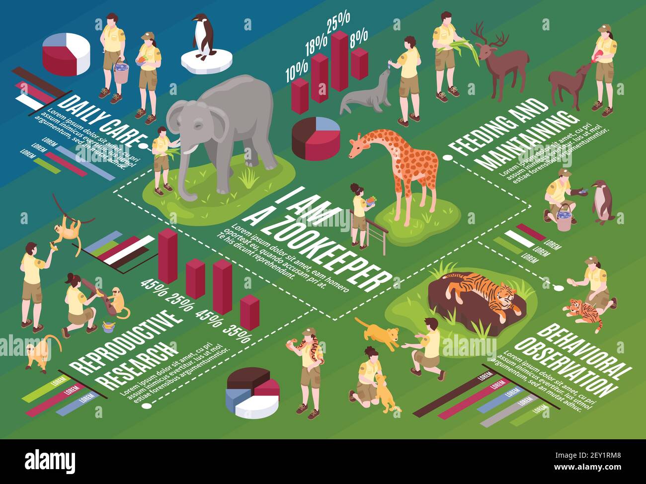 Operatori zoo isometrici composizione orizzontale del diagramma di flusso con testo delle icone infografiche e immagini di persone e animali vettore di estrazione Illustrazione Vettoriale