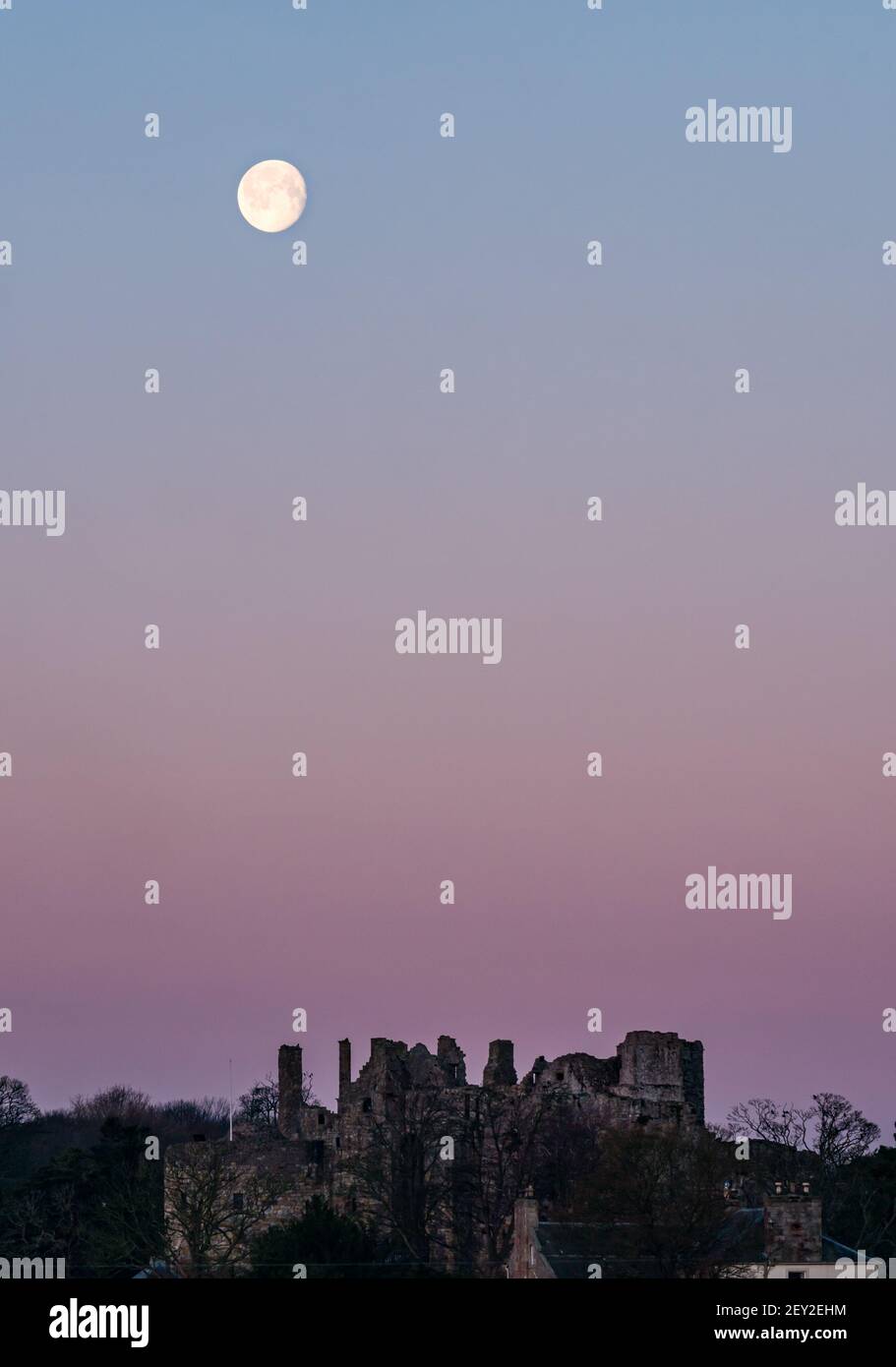 Una luna piena di neve nel cielo rosa dell'alba sopra il castello medievale rovinato di Dirleton, East Lothian, Scozia, Regno Unito Foto Stock