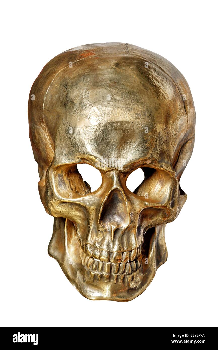 Lo scheletro di un cranio umano è dipinto con vernice oro, vista frontale, su uno sfondo bianco primo piano. Foto Stock