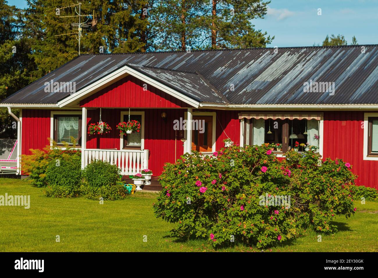 bella casa rossa e grandi cespugli di fiori Foto Stock