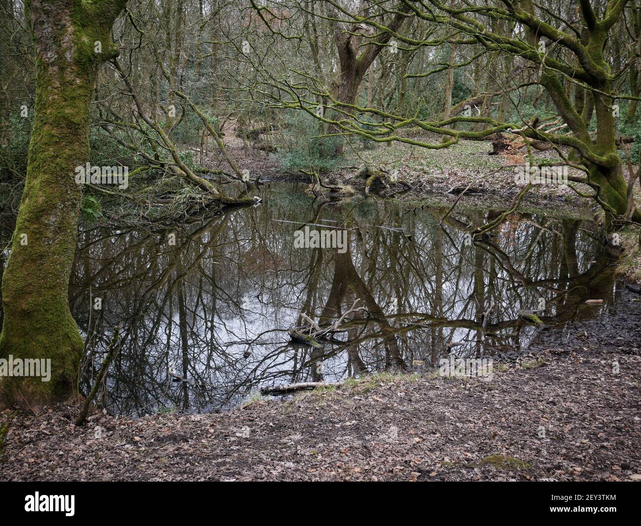 Regno Unito Manchester. La scena moderna del disastro di Pretoria Pit, Atherton, Greater Manchester immagine di Julian Brown Foto Stock