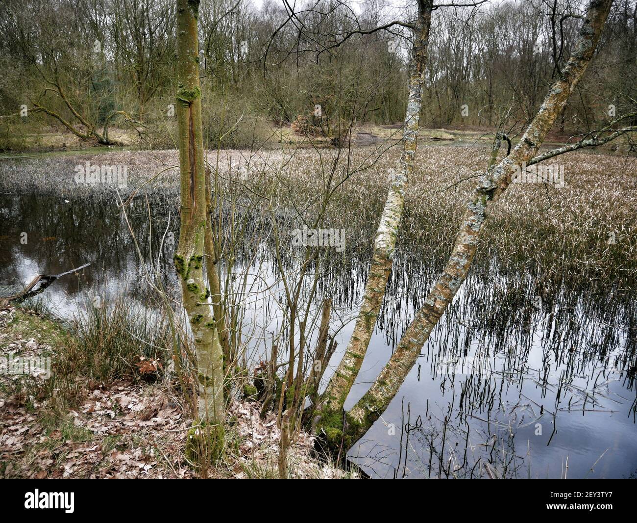 Regno Unito Manchester. La scena moderna del disastro di Pretoria Pit, Atherton, Greater Manchester immagine di Julian Brown Foto Stock