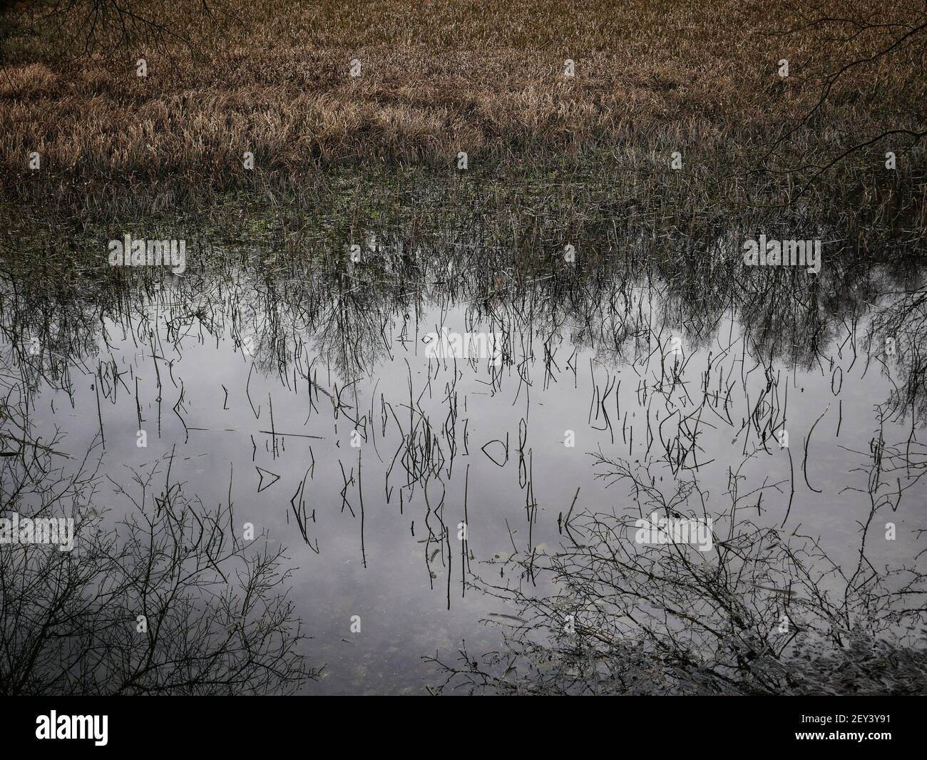 Regno Unito Manchester. La scena moderna del disastro di Pretoria Pit, Atherton, Greater Manchester immagine di Julian Brown Foto Stock
