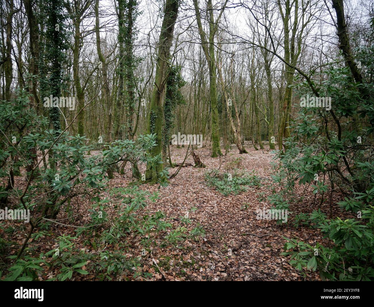 Regno Unito Manchester. La scena moderna del disastro di Pretoria Pit, Atherton, Greater Manchester immagine di Julian Brown Foto Stock