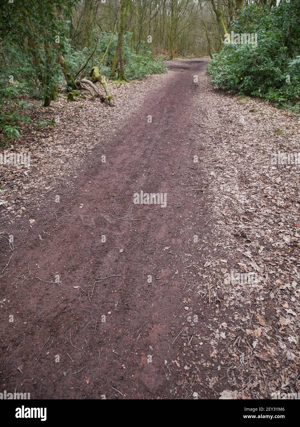 Regno Unito Manchester. La scena moderna del disastro di Pretoria Pit, Atherton, Greater Manchester immagine di Julian Brown Foto Stock