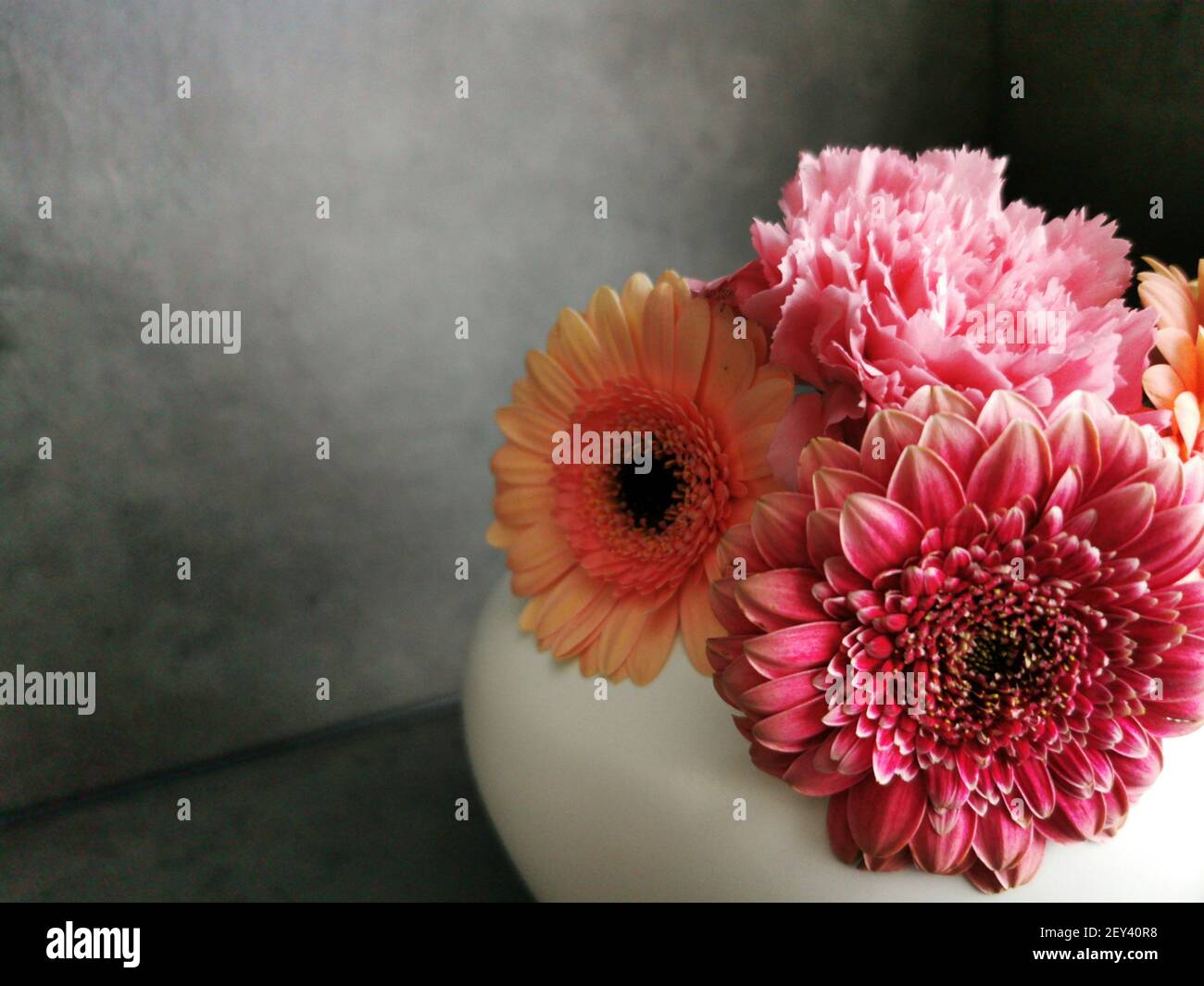 Un primo piano di bellissime gerbere colorate in bianco vaso Foto Stock