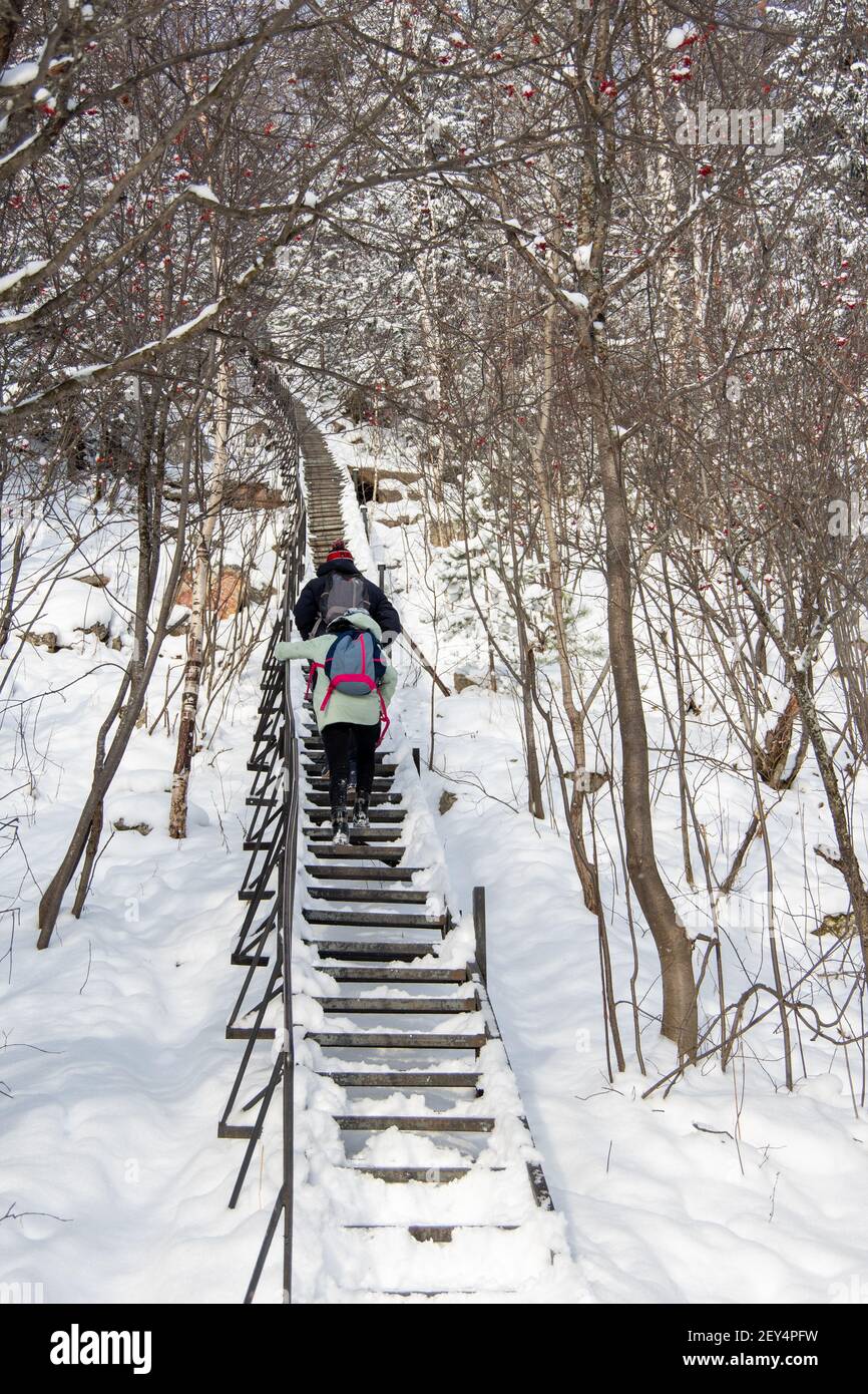 Vista posteriore di persone in abbigliamento sportivo con zaini che salendo alte scale coperte di neve in inverno in montagna. Concetto di sport invernali, escursioni in t Foto Stock