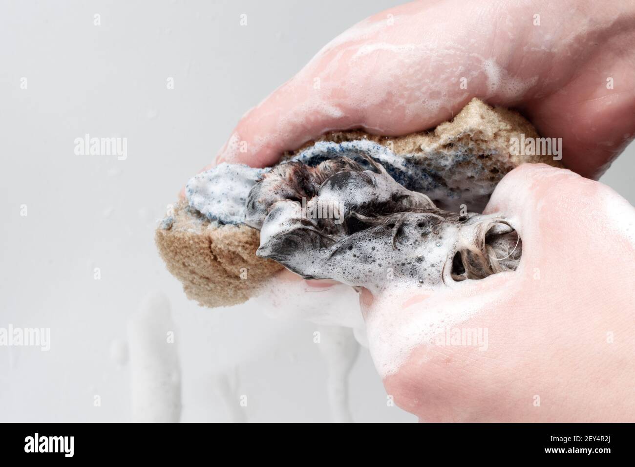 Primo piano della zampa di un cane che viene lavata con le mani femminili con una spugna gialla con schiuma. Cura degli animali, cura del corpo. Foto Stock