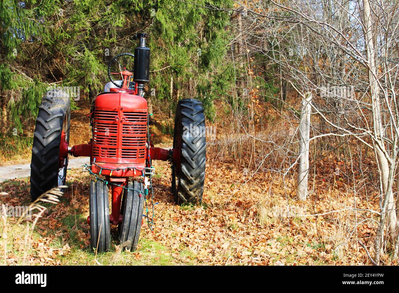 Un piccolo, vecchio stile, trattore agricolo rosso parcheggiato lungo una strada di campagna, tra gli alberi, autunno. Il trattore è stato messo a punto con le luci di Natale. Foto Stock