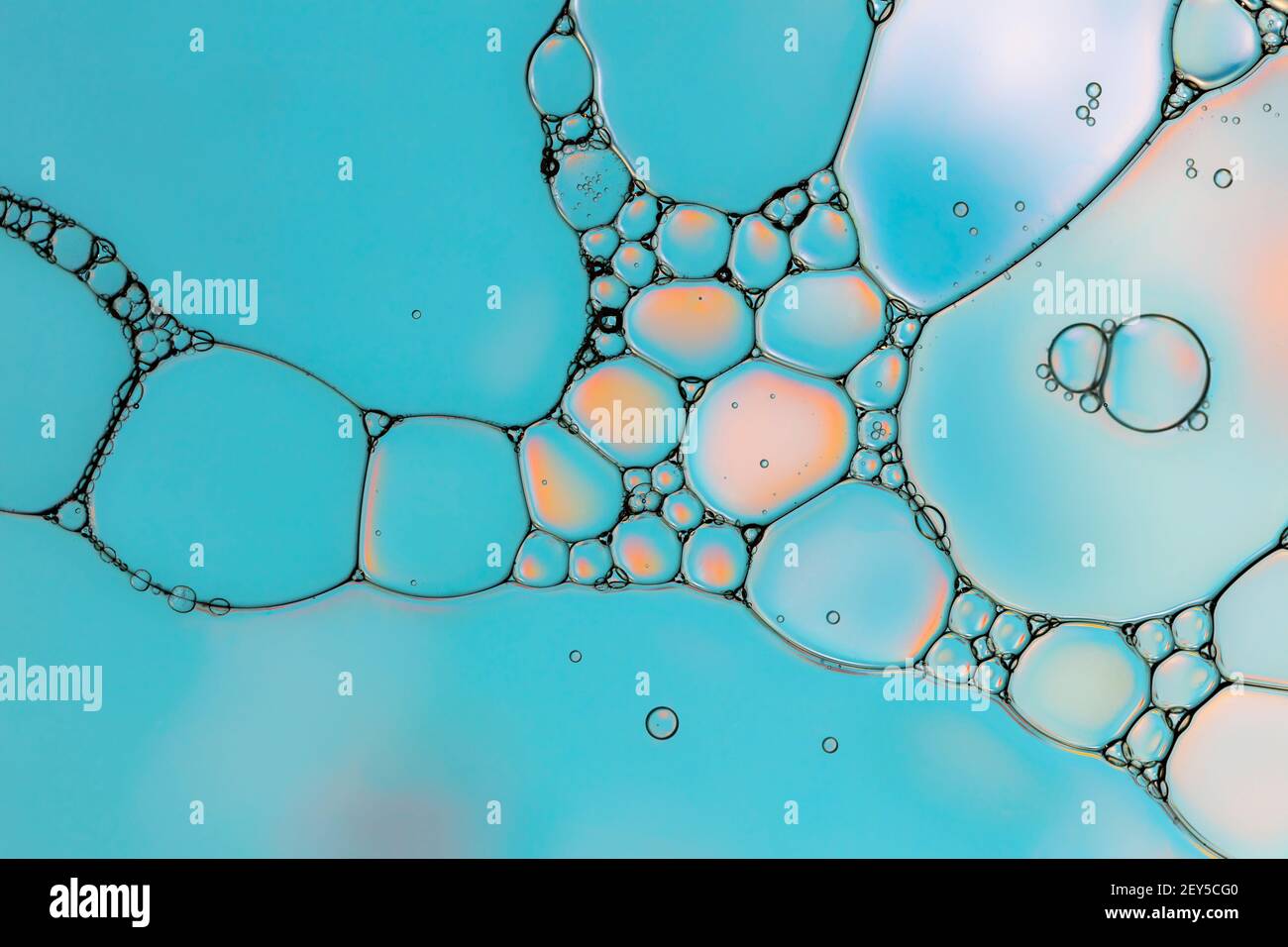 macro foto di bolle che creano disegni geometrici. turchese tonalità blu. Foto Stock