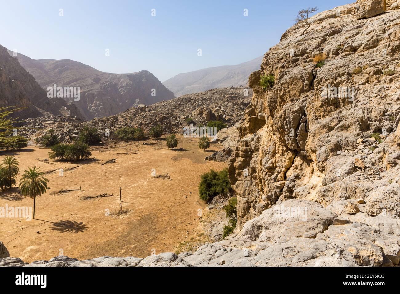 Oasi nascosta nella catena montuosa di Jabel Jais, paesaggio con verdi e lussureggianti palme e tronchi di palme rotti, montagne rocciose sullo sfondo. Foto Stock