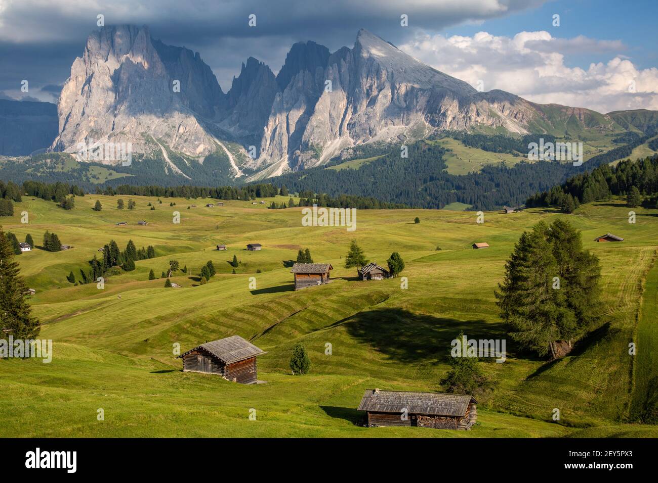 Alpe di Siusi, Alpe di Siusi, Dolomiti Alpi, Italia Foto Stock