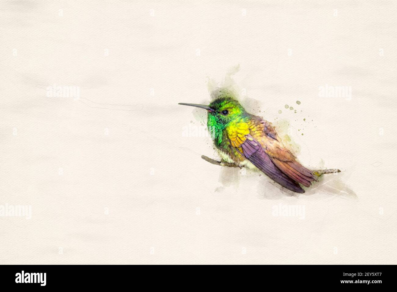 stampa acquerello digitale con biondi di neve Foto Stock
