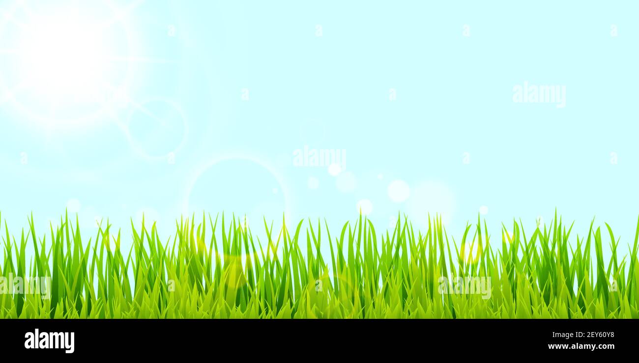 file di modello vettoriale eps di erba verde estate panorama sul lato inferiore con raggi solari per i modelli estivi o primaverili Illustrazione Vettoriale