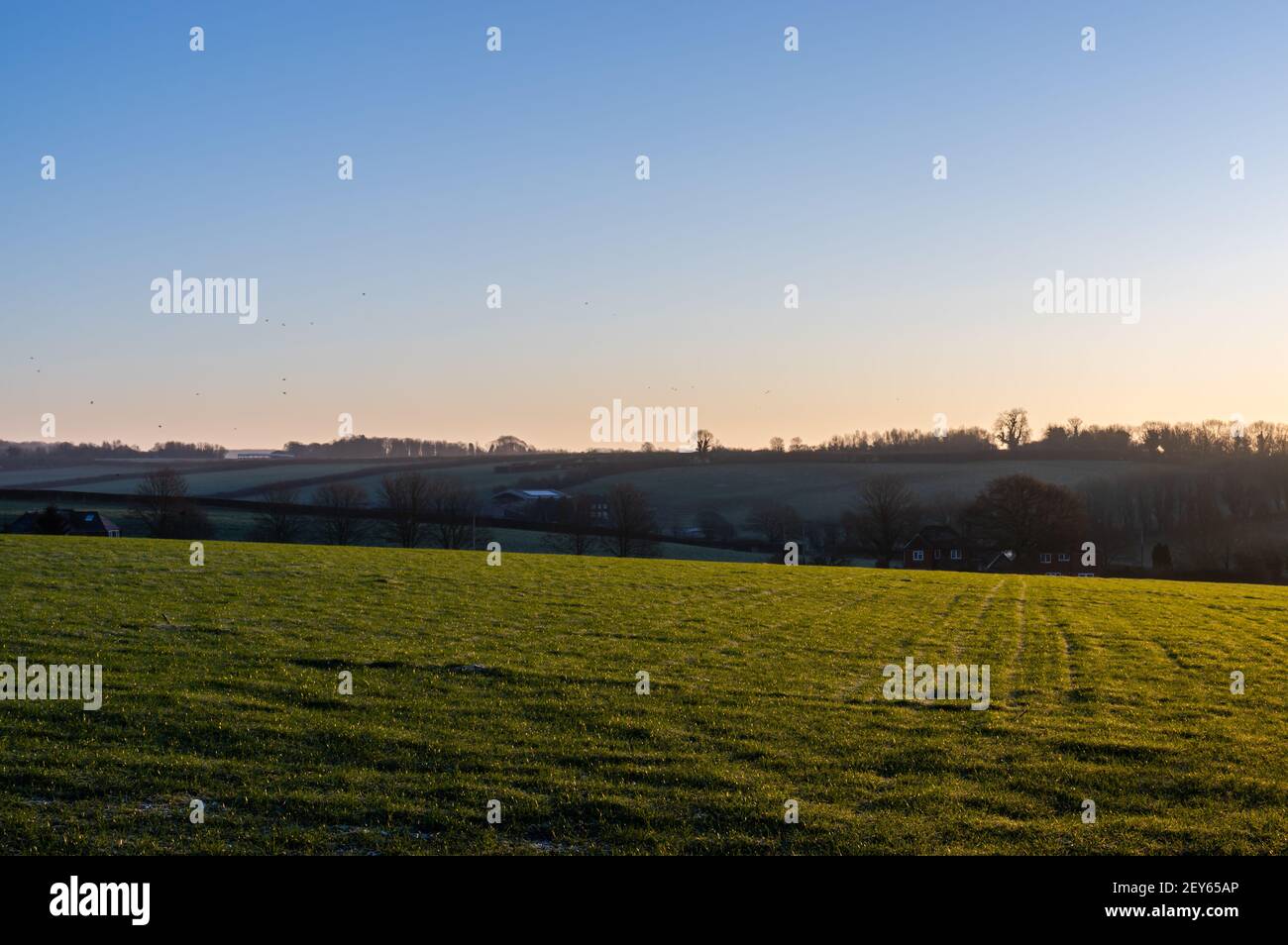 Calda luce mattutina sui campi rurali dell'Hampshire, Inghilterra Foto Stock