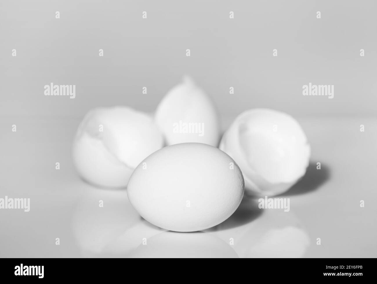 uovo e guscio d'uovo su sfondo bianco Foto Stock