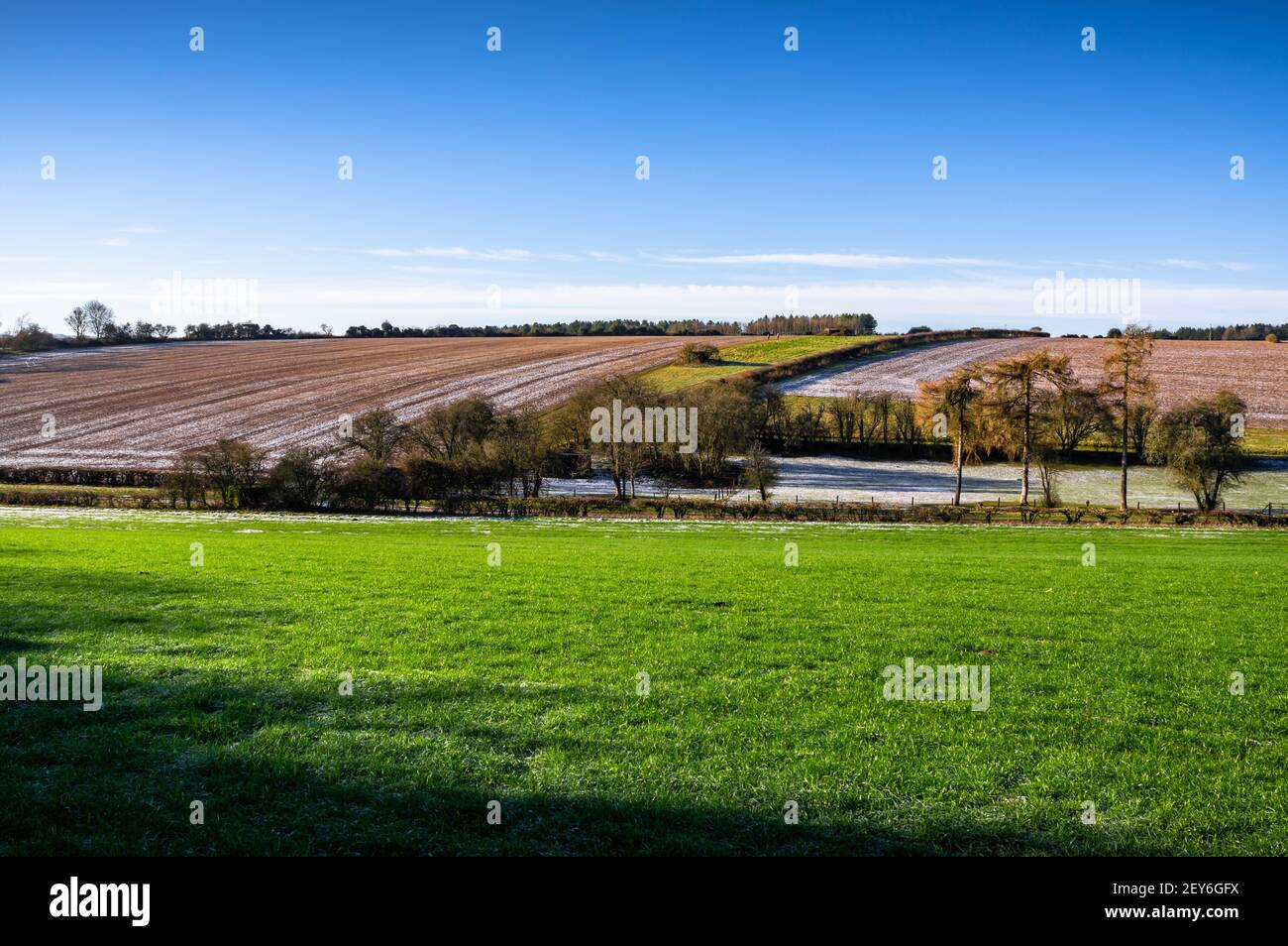 Campi della campagna rurale dell'Hampshire sotto il cielo blu d'inverno. Inghilterra. Foto Stock