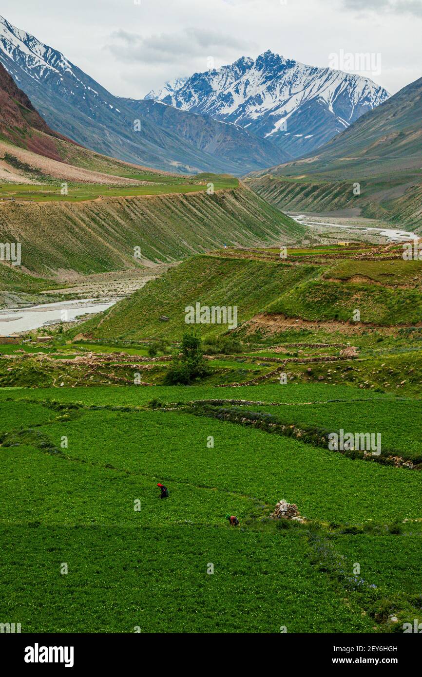 Diverse vedute della Valle del perno Foto Stock