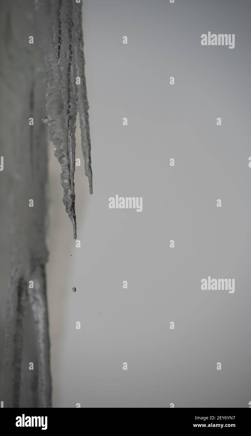 primo piano verticale di ghiaccio su ghiacciolo appeso sciogliendo una goccia di acqua che cade da ghiacciolo appeso sul lato sinistro del telaio destro spazio vuoto Foto Stock