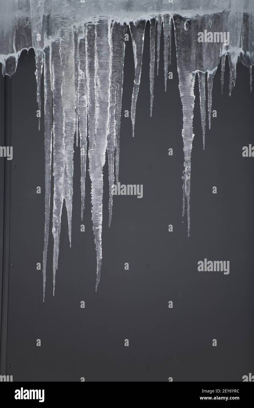 ghiaccioli appesi al tetto di un edificio grigio ghiaccio trasparente e congelato che incornicia uno spazio vuoto per il tipo con sfondo grigio ghiaccio invernale scongelamento Foto Stock