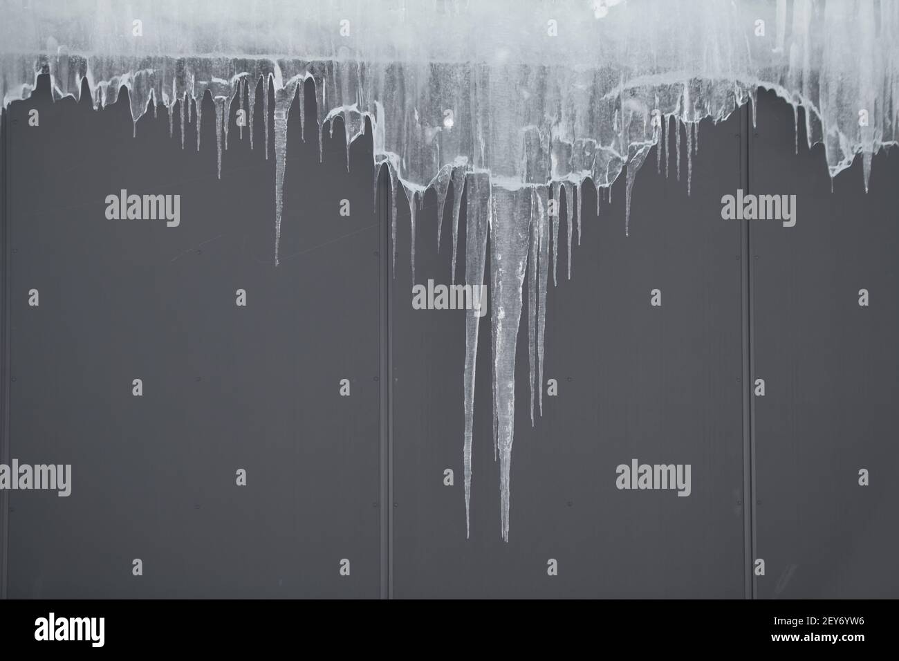 ghiaccioli appesi al tetto di un edificio grigio ghiaccio trasparente e congelato che incornicia uno spazio vuoto per il tipo con sfondo grigio ghiaccio invernale scongelamento Foto Stock