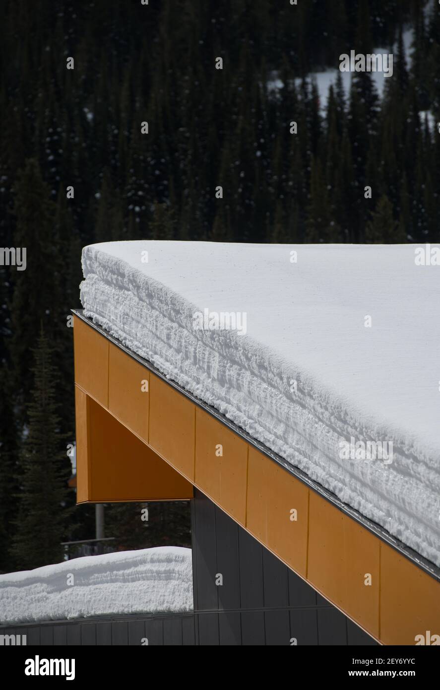 neve bianca stratificata su tetto ad angolo giallo di edificio industriale in alberi d'inverno sullo sfondo verticale formato camera per tipo Foto Stock
