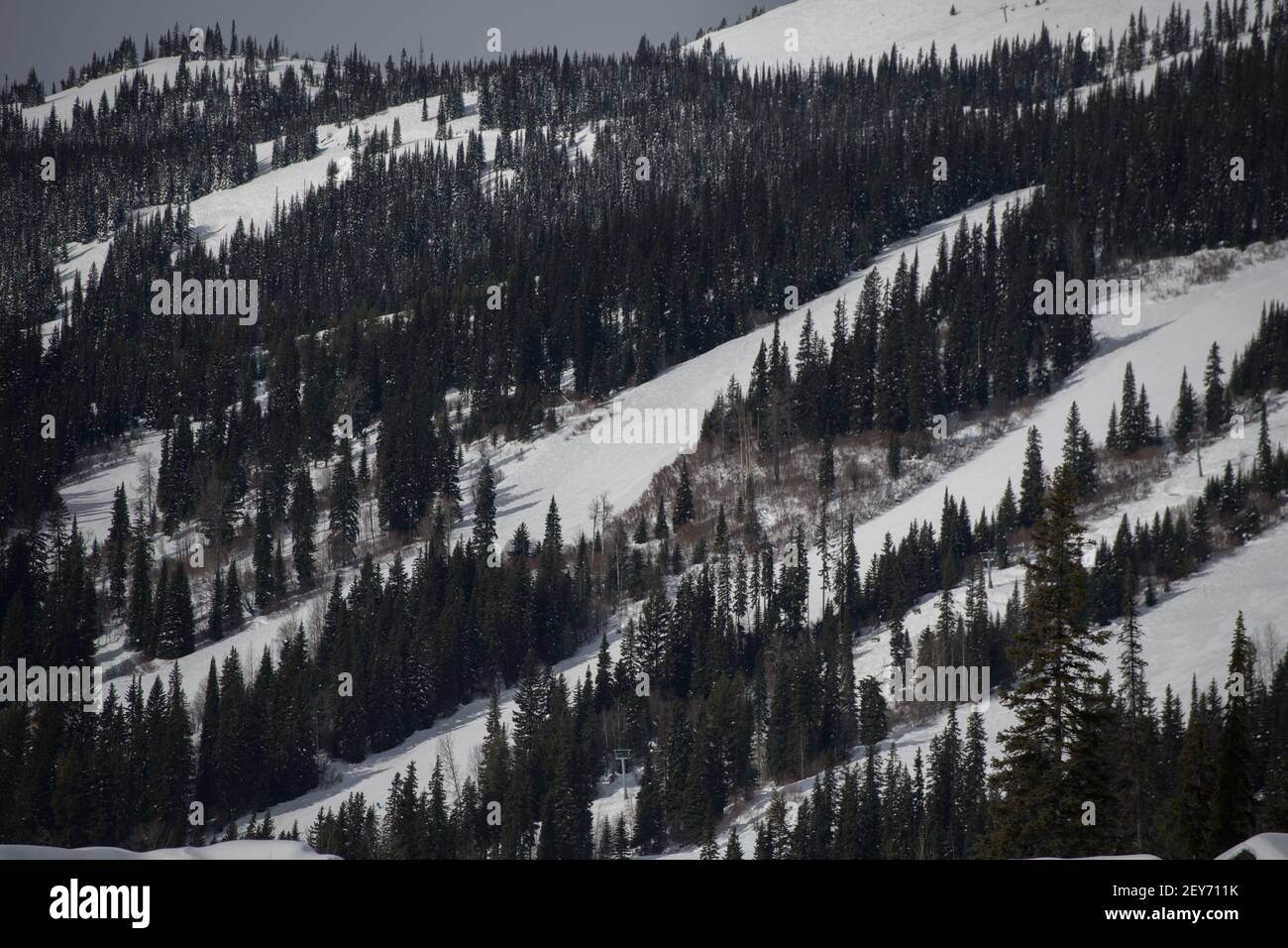 Vista delle piste innevate della stazione sciistica Sun Peaks nella British Columbia Canada Sunpeaks con alberi sui lati delle piste da sci o piste durante il giorno d'inverno Foto Stock