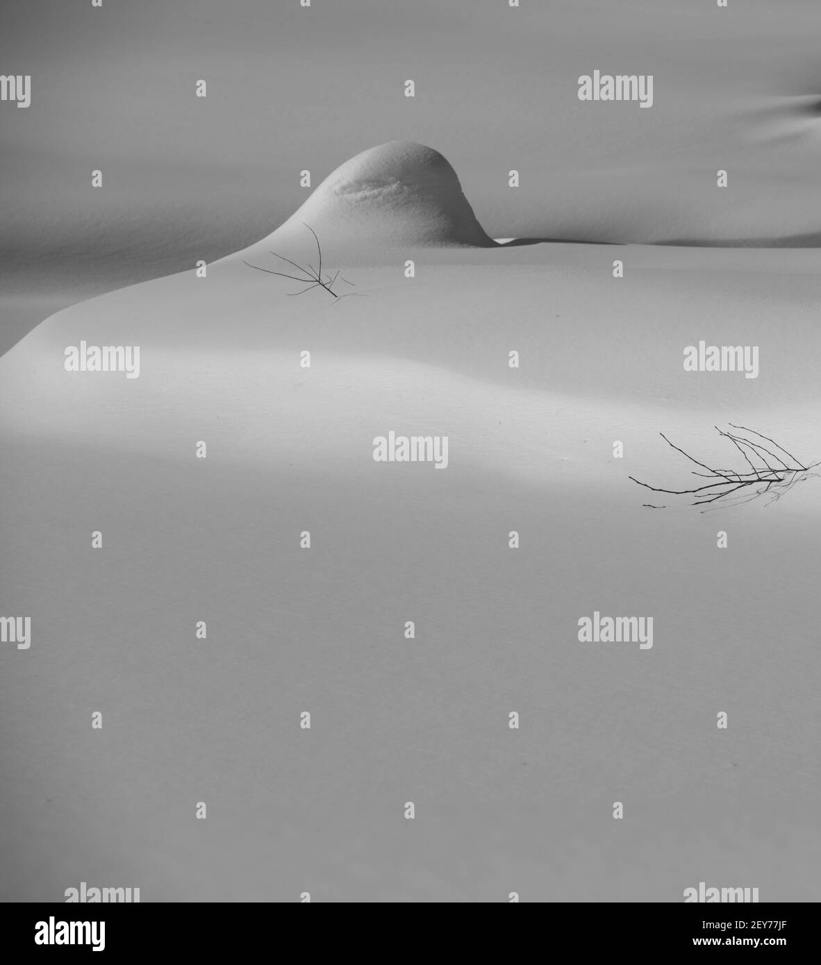 neve mound circondato da curve di neve fresca in bianco neve ombre e luce soleggiato inverni giorno freddo clima inverno temperature paesaggio panoramico inverno Foto Stock