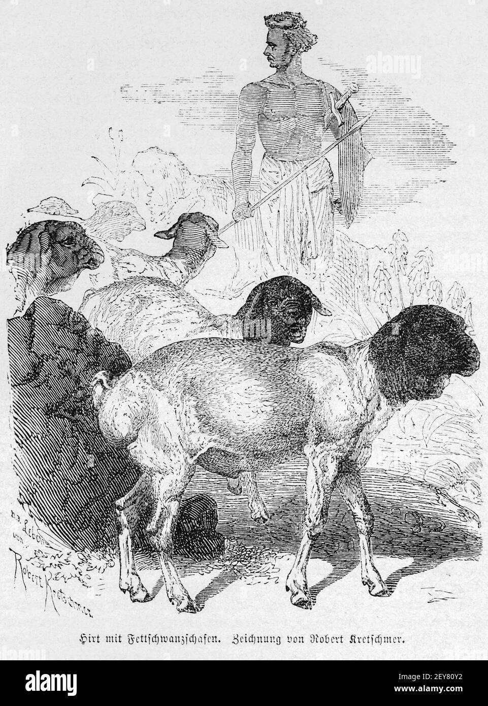 Pastore con pecora dalla coda grassa, Dr. Richard Andree, Abyssina, Etiopia, Africa orientale, Abessinien, Land und Volk, Lipsia 1869 Foto Stock