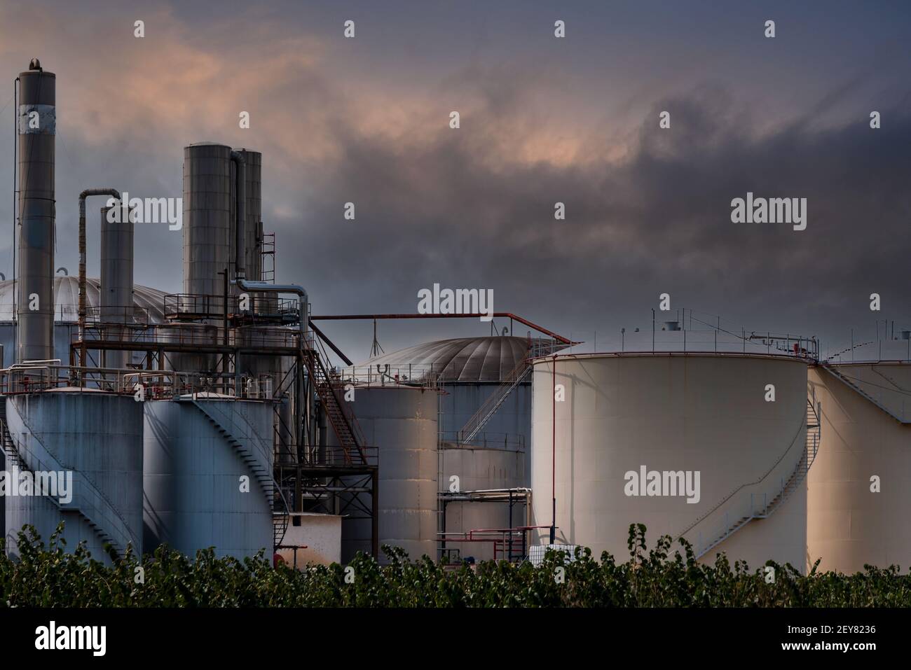 Industria chimica per la lavorazione dei liquidi, vista esterna di uno stabilimento, con i suoi tubi e serbatoi di stoccaggio. Foto Stock