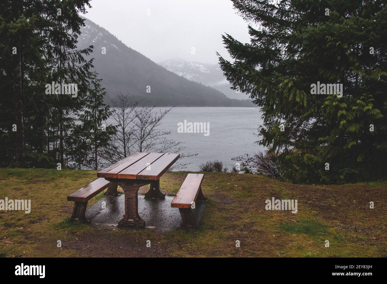 Vista sul tavolo da picnic vicino all'area di riposo del Parco Provinciale di Strathcona Con lago Campbell sullo sfondo Foto Stock