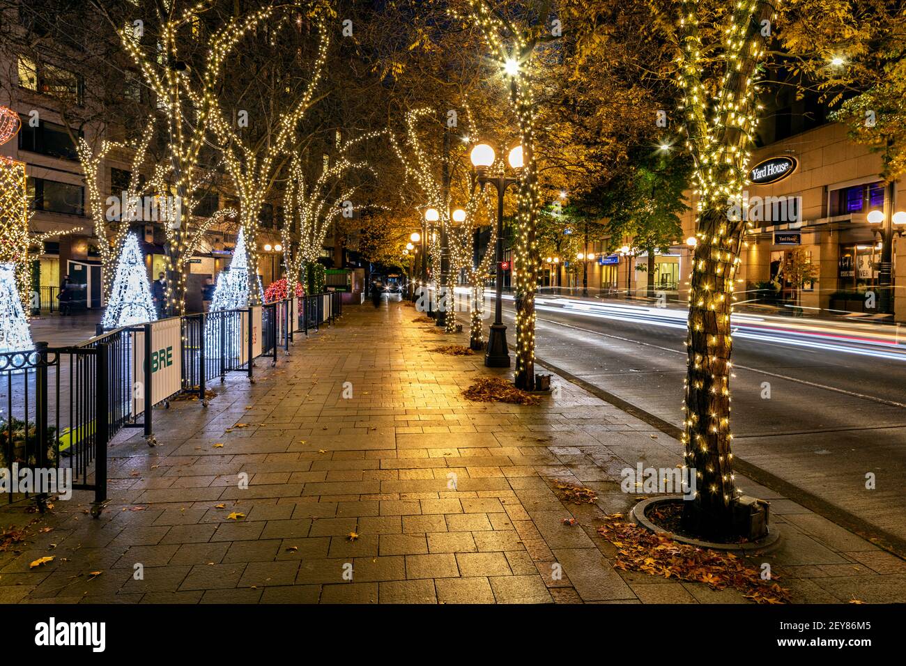 WA17993-00..... WASHINGTON - decorazioni natalizie nel West Lake Park di Seattle lungo la 4th Avenue. Foto Stock