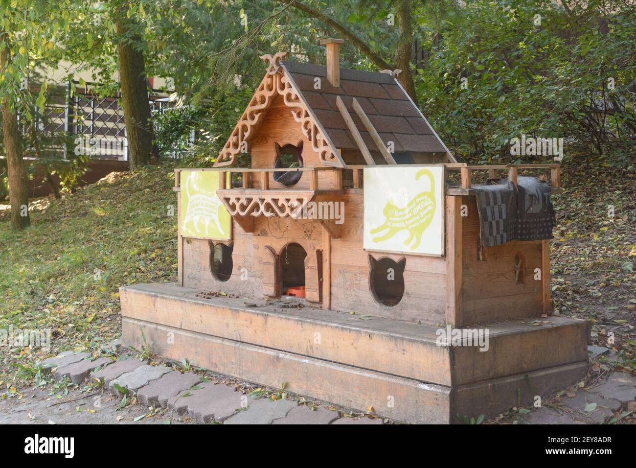 Svetlogorsk, regione di Kaliningrad, Russia - Settembre 2020: Abitazione per gatti sulla strada della città. Prendersi cura di animali domestici senza casa. Foto Stock