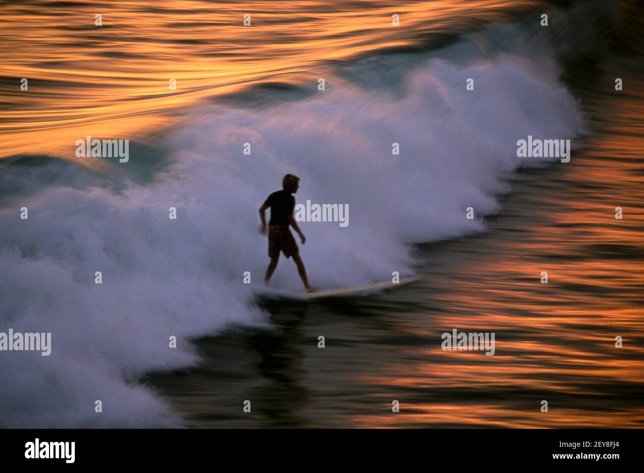 Surf equitazione onda al tramonto sulla spiaggia della California Foto Stock