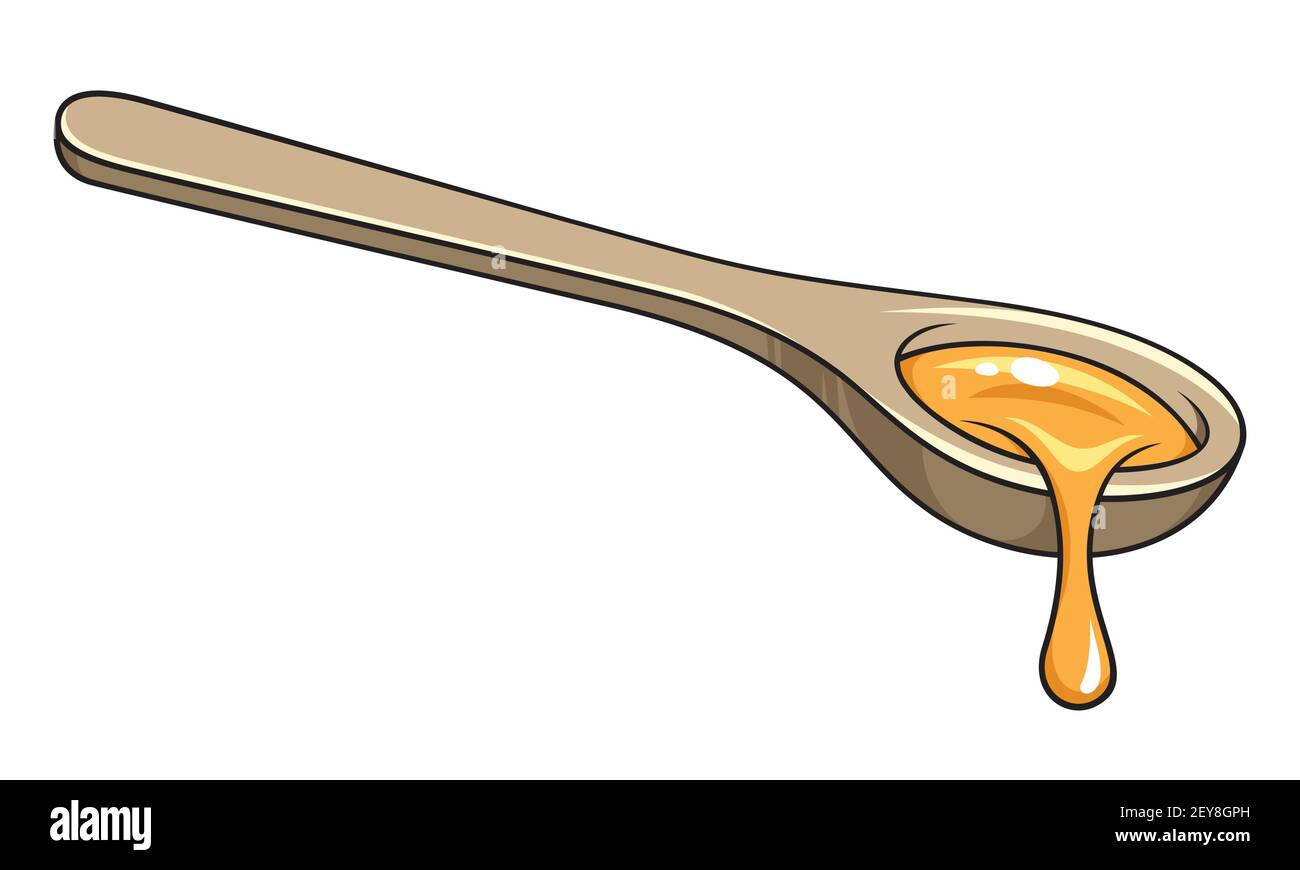 cucchiaio di miele di legno su sfondo bianco Illustrazione Vettoriale