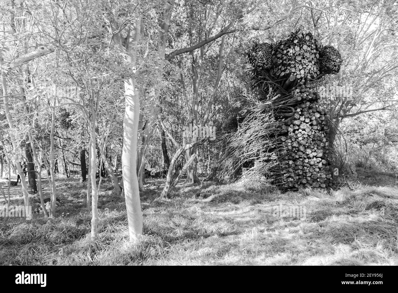 JOHANNESBURG, SUDAFRICA - 05 gennaio 2021: Johannesburg, Sudafrica - 12 2018 maggio: Mostra di sculture d'arte all'aperto al Nirox Park Foto Stock