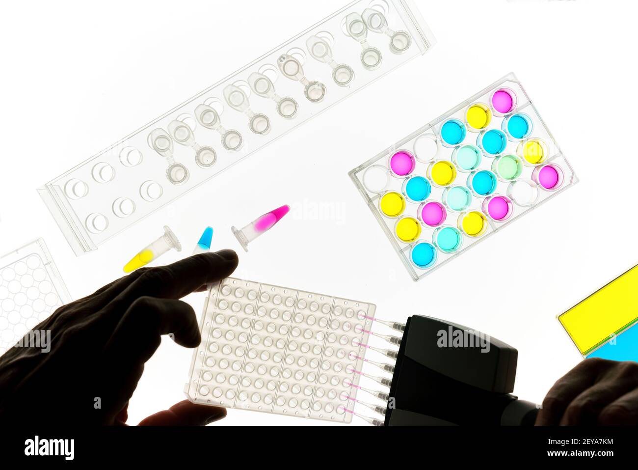 La ricerca genetica, immagine concettuale Foto Stock