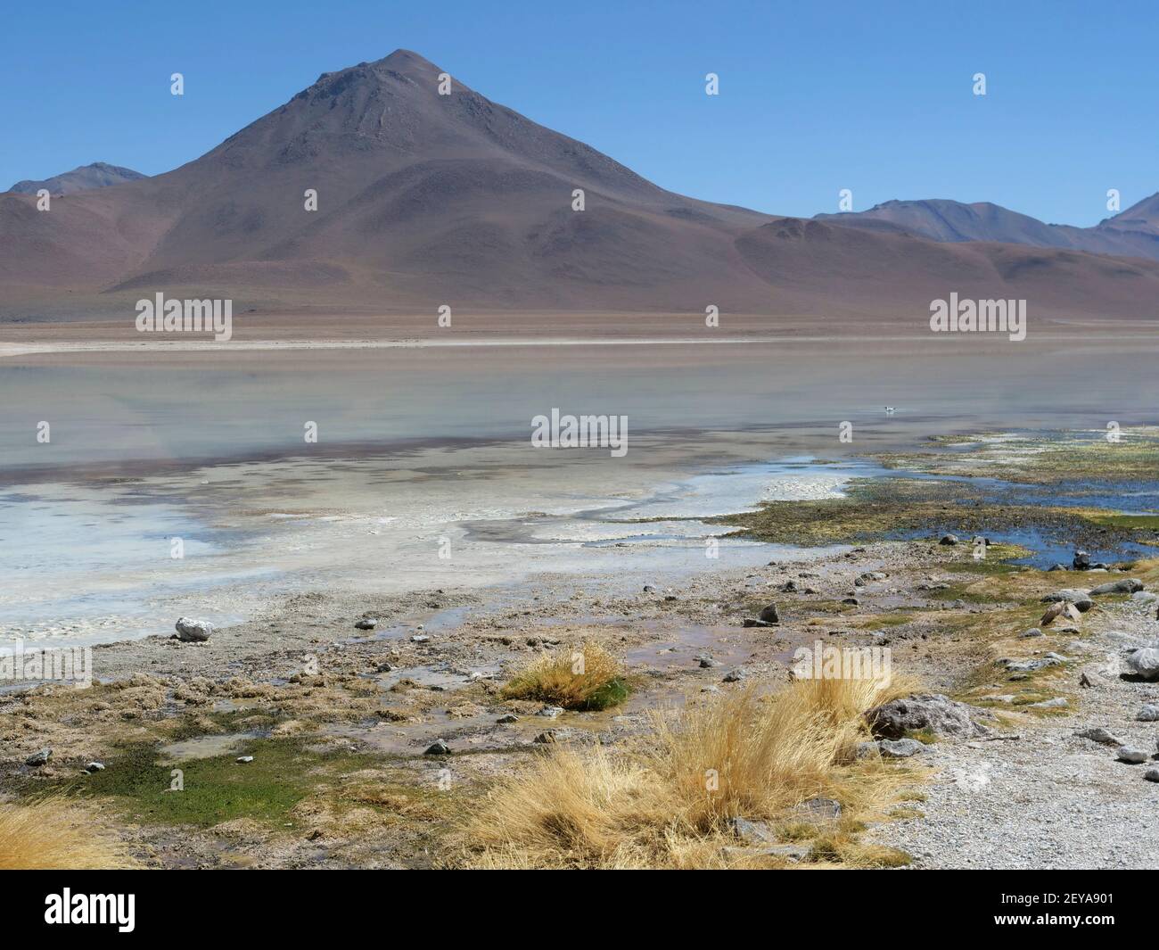 Laguna Verde e Vulcano Licancabur Foto Stock