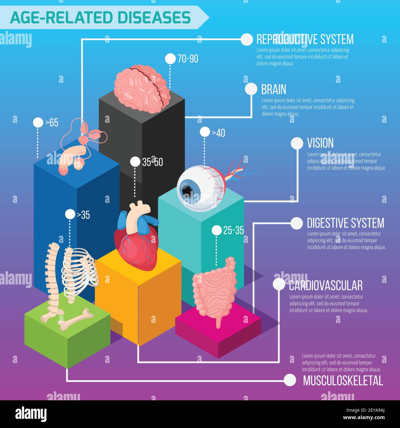 Età malattia umana malattia infografica layout con statistica di sconfitta di organi interni e sistemi biologici illustrazione vettoriale isometrica Illustrazione Vettoriale