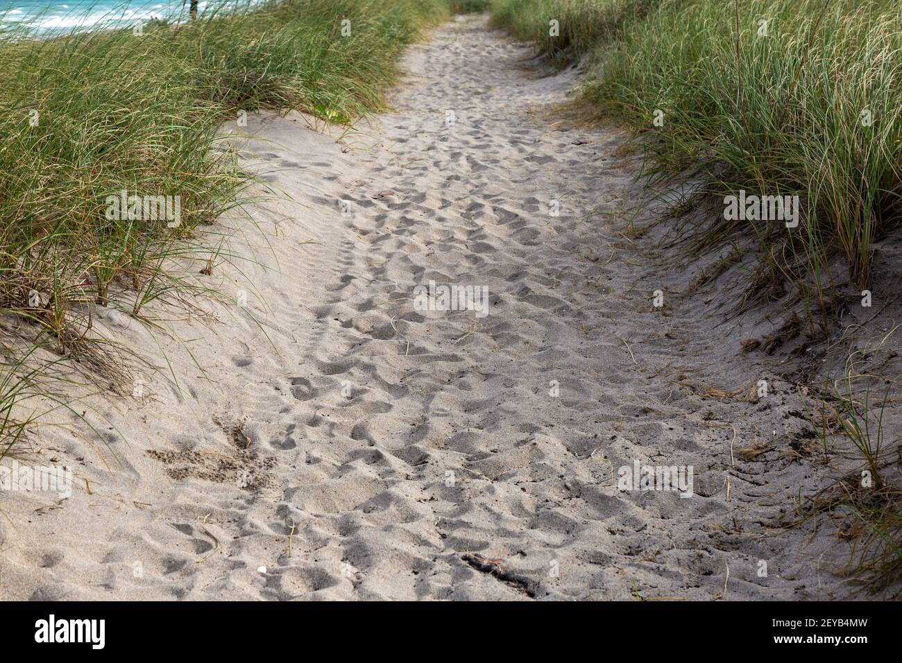 Le impronte dei piedi segnano un sentiero sabbioso che corre lungo l'Oceano Atlantico sull'isola di Hutchinson vicino a Jensen Beach, Florida, Stati Uniti. Foto Stock