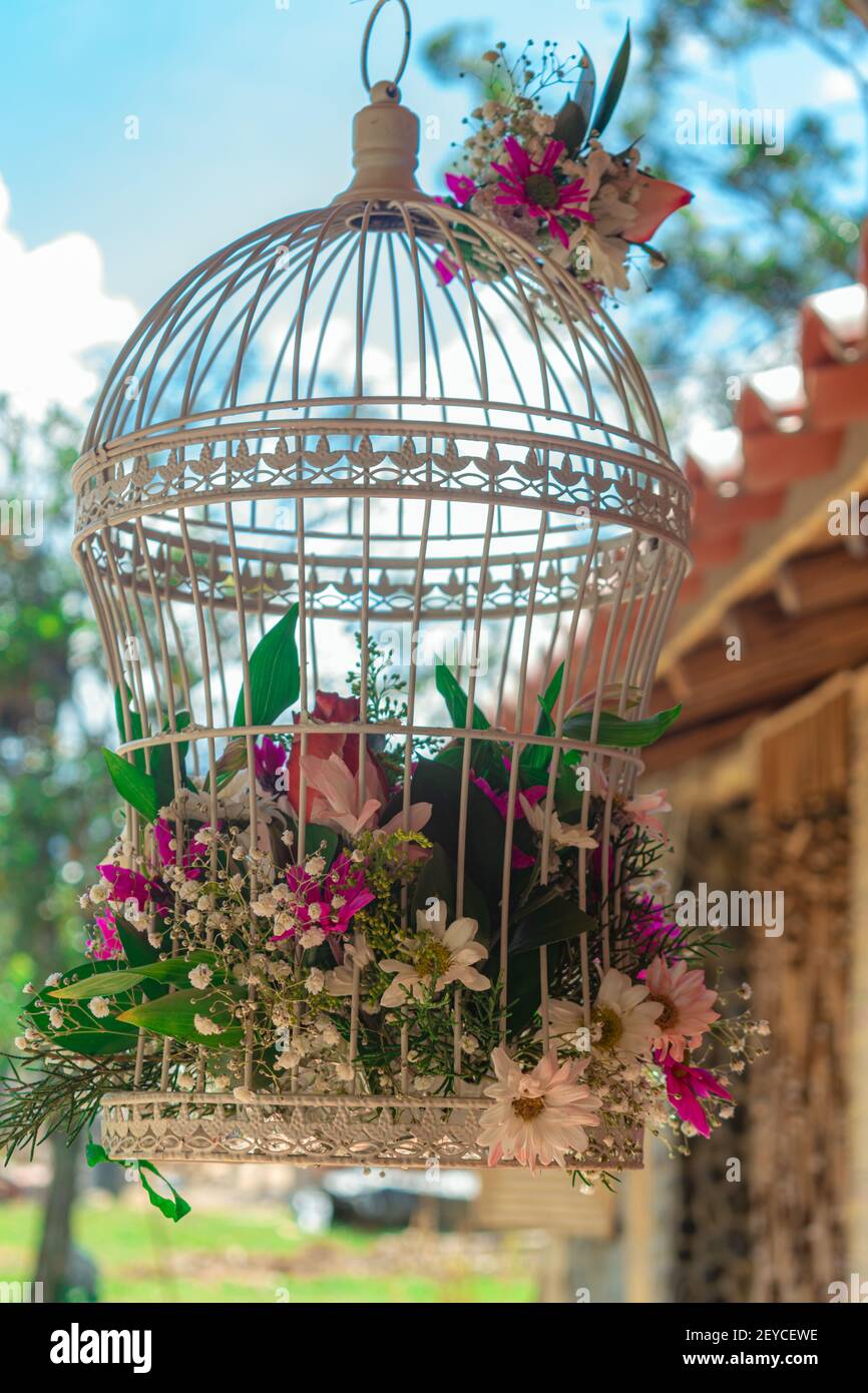 Una foto verticale di un bouquet di fiori freschi all'interno una gabbia di colomba Foto Stock