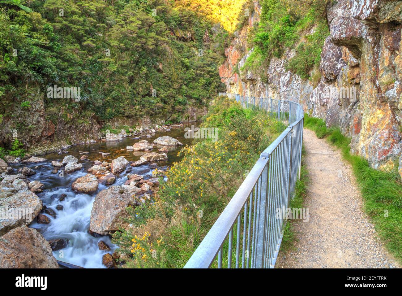 Una pista da passeggio che corre lungo il fiume Waitawheta nella Gola di Karangahake, Nuova Zelanda Foto Stock