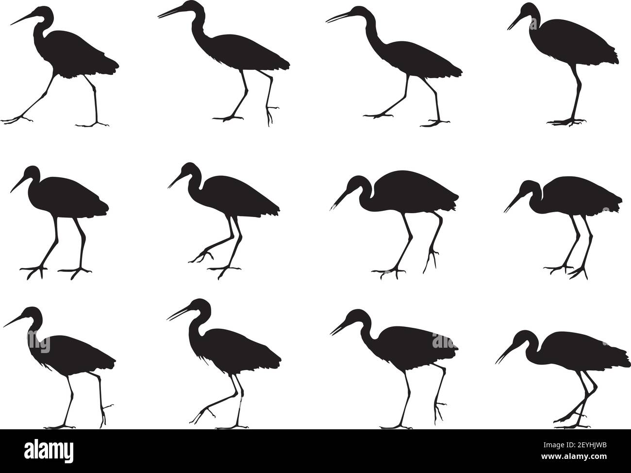White Herons Birds, set di silhouette con ombra in movimento Illustrazione Vettoriale