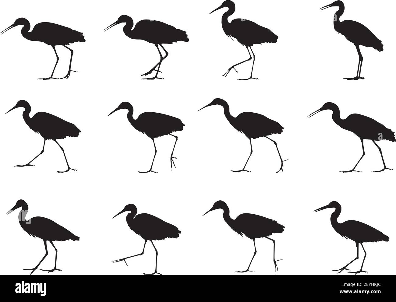 White Herons Birds, set di silhouette con ombra in movimento Illustrazione Vettoriale