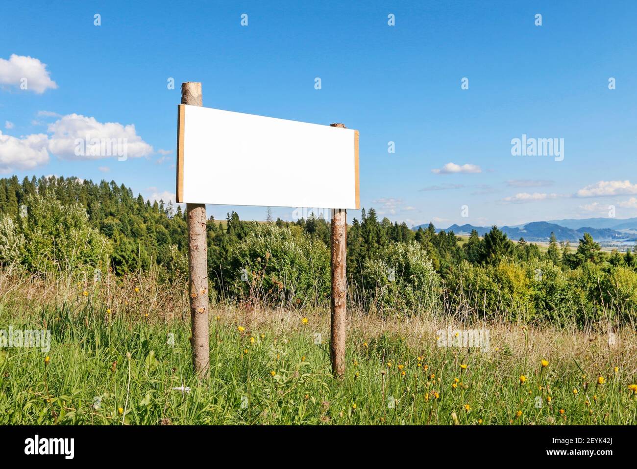 Cartello pubblicitario in legno con spazio vuoto per la tua iscrizione. Bellissimo paesaggio sullo sfondo. Foto Stock